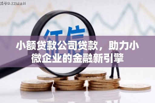 冕宁小额贷款公司贷款，助力小微企业的金融新引擎