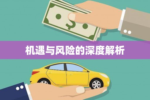 冕宁机遇与风险的深度解析