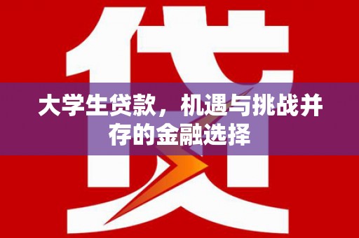 冕宁大学生贷款，机遇与挑战并存的金融选择