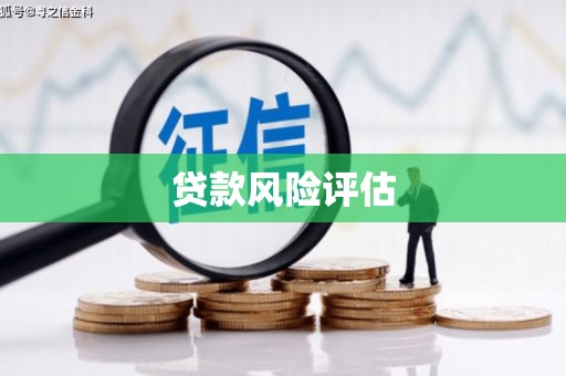 冕宁贷款风险评估