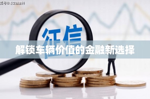 冕宁解锁车辆价值的金融新选择