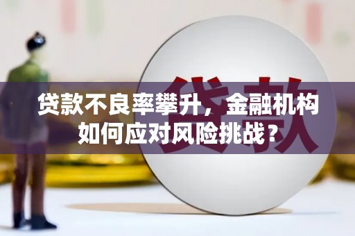 冕宁贷款不良率攀升，金融机构如何应对风险挑战？