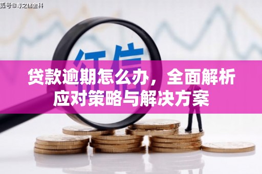 冕宁贷款逾期怎么办，全面解析应对策略与解决方案