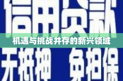 冕宁机遇与挑战并存的新兴领域