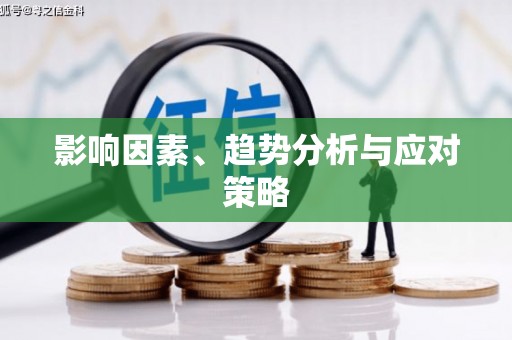 冕宁影响因素、趋势分析与应对策略