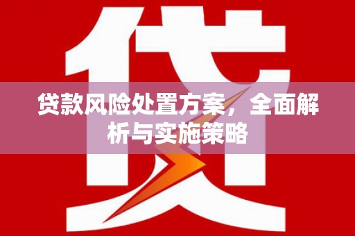 冕宁贷款风险处置方案，全面解析与实施策略