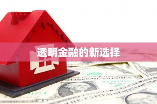 冕宁透明金融的新选择