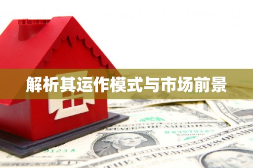 冕宁解析其运作模式与市场前景