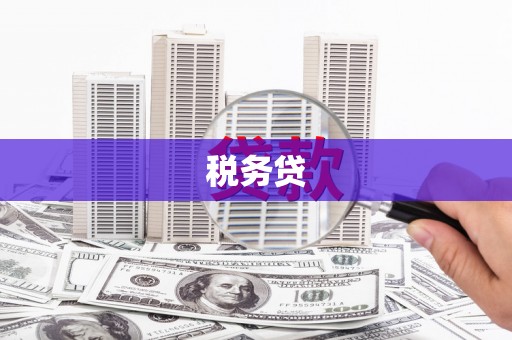冕宁税务贷