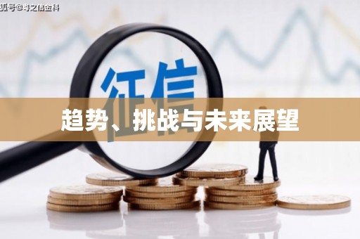 冕宁趋势、挑战与未来展望