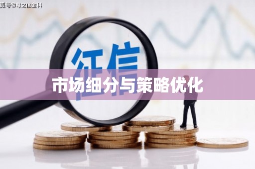 冕宁市场细分与策略优化