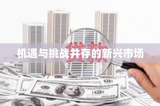 冕宁机遇与挑战并存的新兴市场