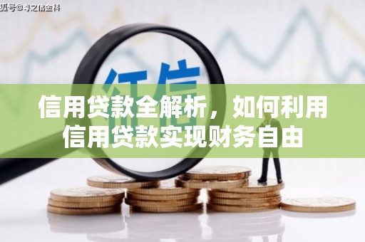 冕宁信用贷款全解析，如何利用信用贷款实现财务自由