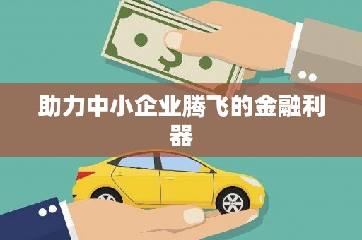 冕宁助力中小企业腾飞的金融利器