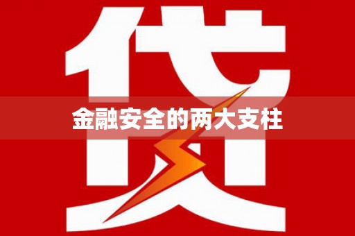 冕宁金融安全的两大支柱
