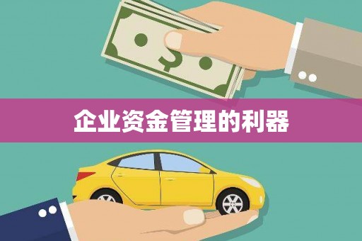 冕宁企业资金管理的利器