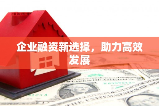 冕宁企业融资新选择，助力高效发展