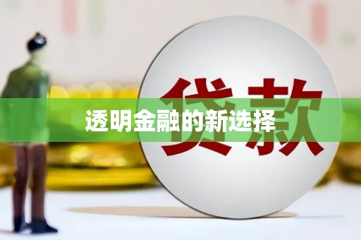 冕宁透明金融的新选择