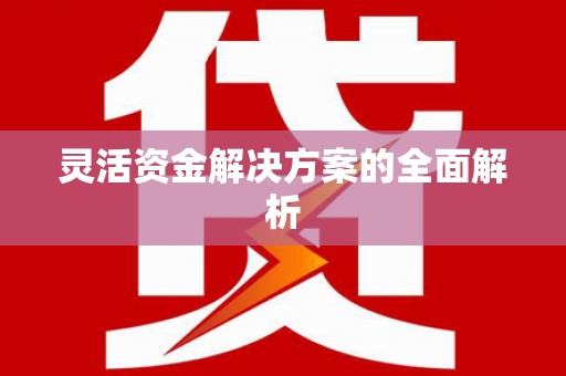冕宁灵活资金解决方案的全面解析